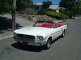 1964 1/2 Mustang